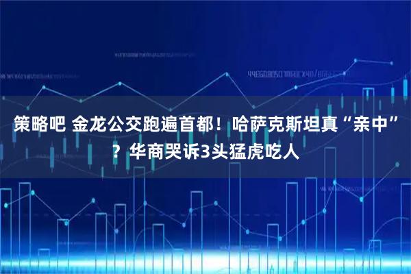 策略吧 金龙公交跑遍首都！哈萨克斯坦真“亲中”？华商哭诉3头猛虎吃人